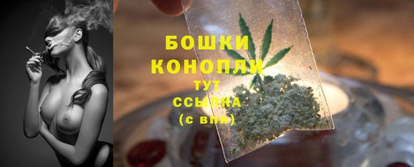 соль ск Арсеньев
