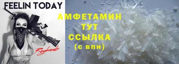 трава Аркадак