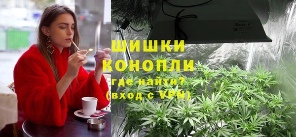 трава Аркадак