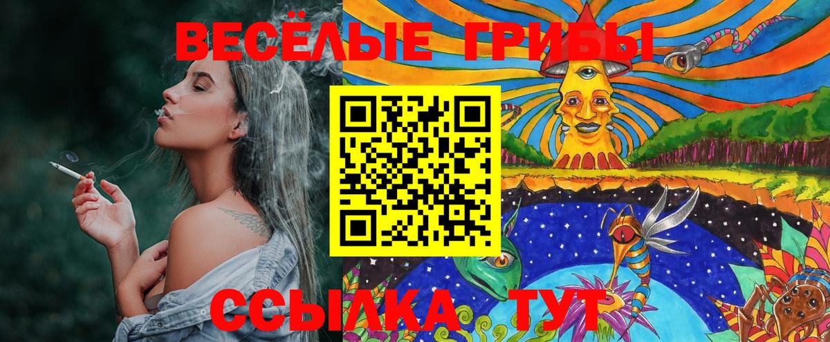 Галлюциногенные грибы Psilocybine cubensis  Вход с VPN  Выкса 